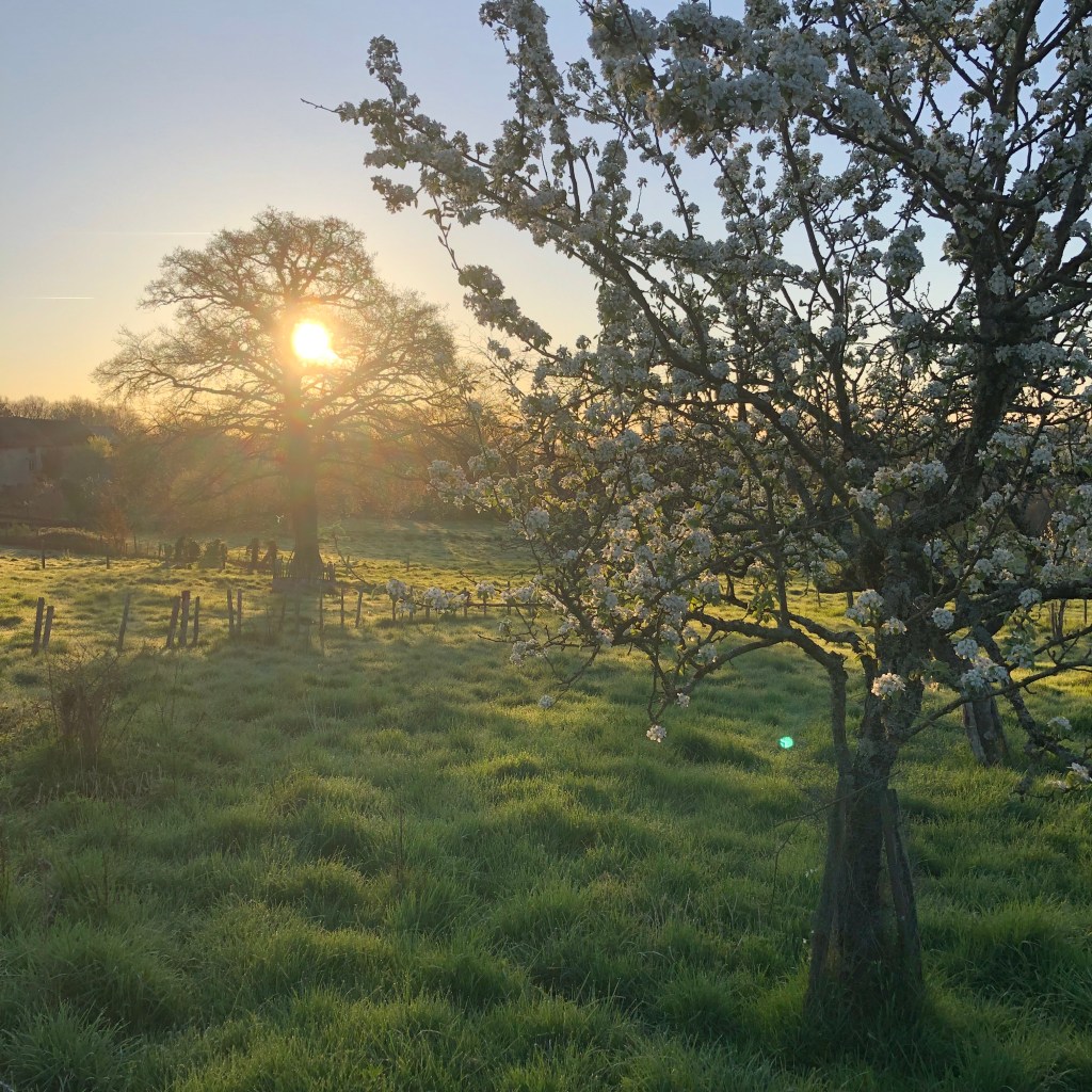 Après l&rsquo;hiver