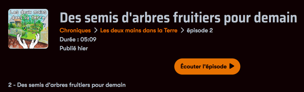 Des semis d&rsquo;arbres fruitiers pour&nbsp;demain