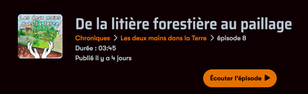De la litière forestière au paillage Partie 1